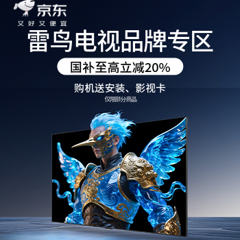 京东 雷鸟电视品牌专区 购机至高享免费安装