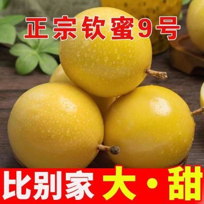 PDD热销产品汇总20点档更新2023/08/21