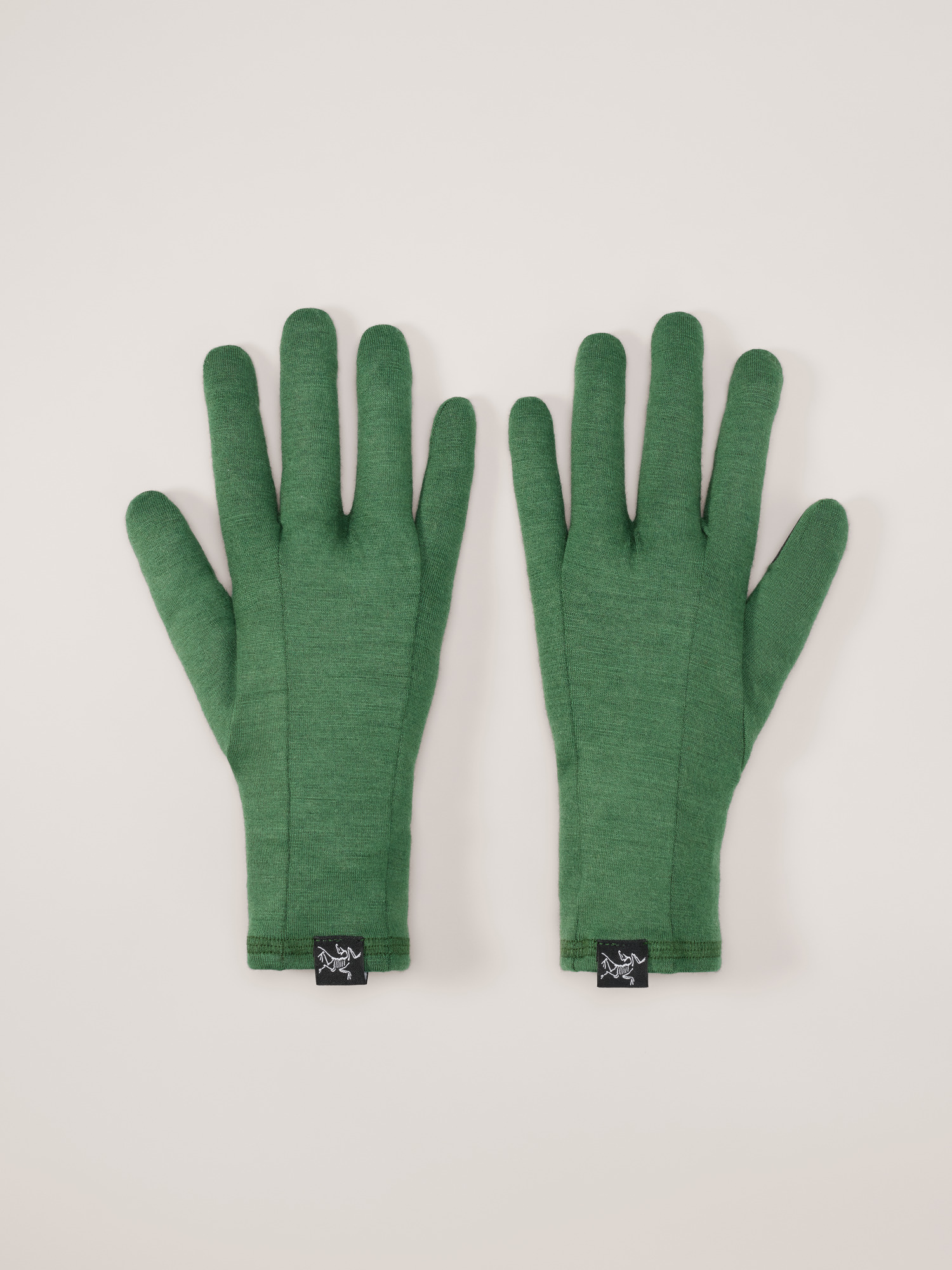 Arcteryx Gothic Glove