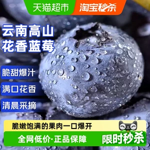云南高山花香蓝莓应当季新鲜水果特大果礼盒整箱