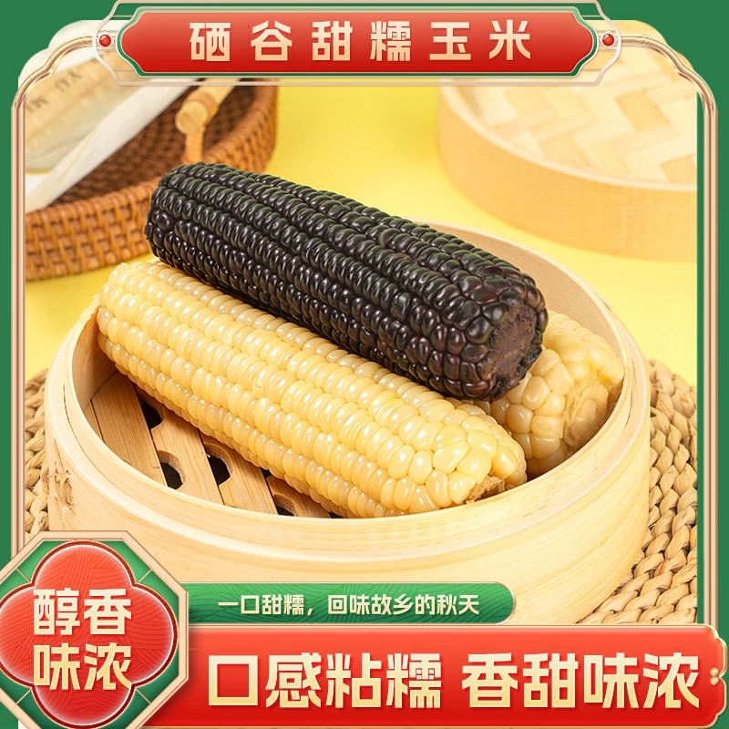 东北黑玉米10根