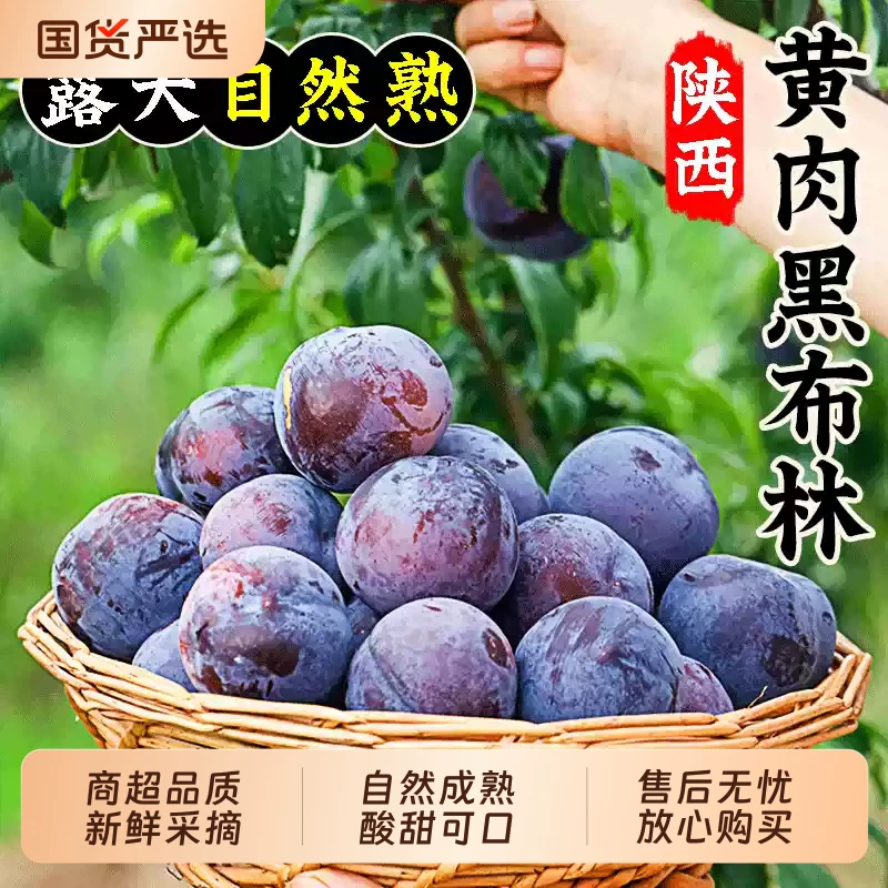 李子新鲜水果黑布林大李子黄心李风味玫瑰李子黑布李应季特产水果