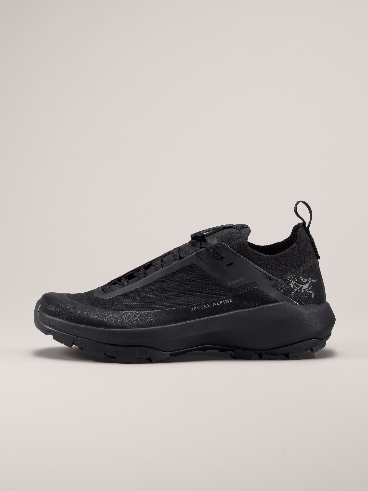 Arcteryx Vertex Alpine GTX Shoe Women's