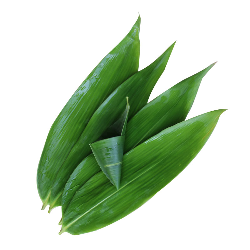 【可签到】野生小号新鲜粽叶50片