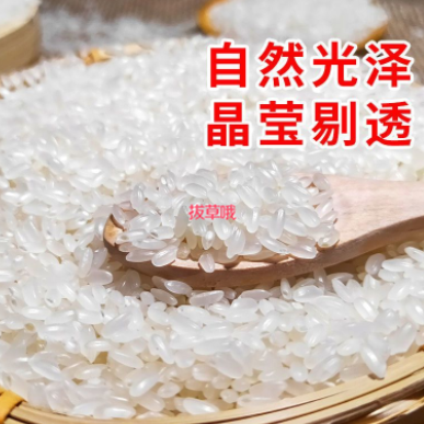 24.9元包邮！东北大米10斤