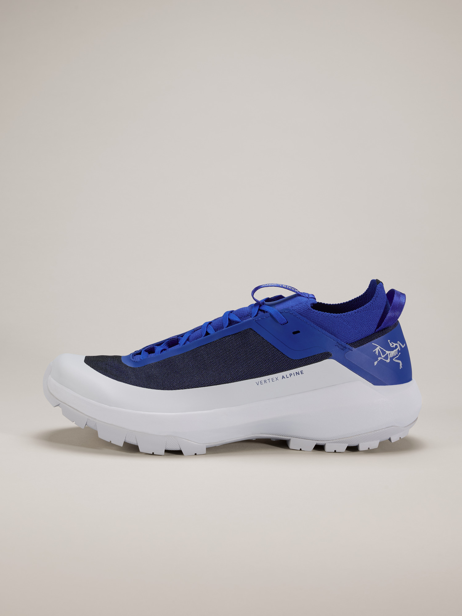 Arcteryx Vertex Alpine Shoe Men's