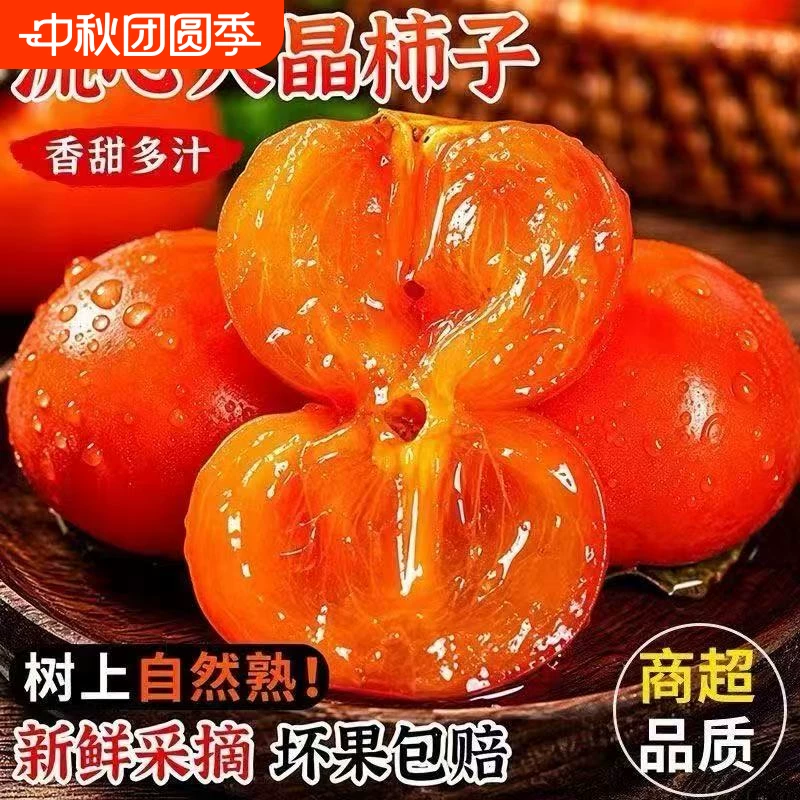 山西火晶柿子24颗