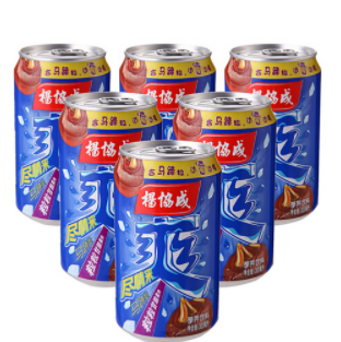 【有券的上】33.64元！杨协成 马蹄爽 荸荠饮料 300ml*12罐