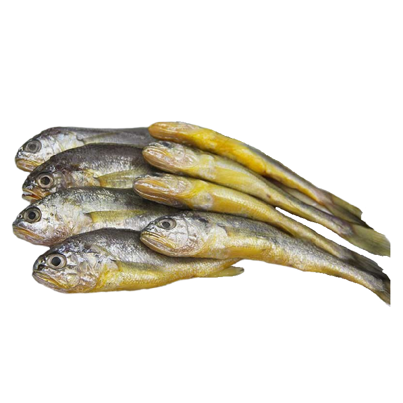 盈孚海洋！野生黄花鱼海捕新鲜4包