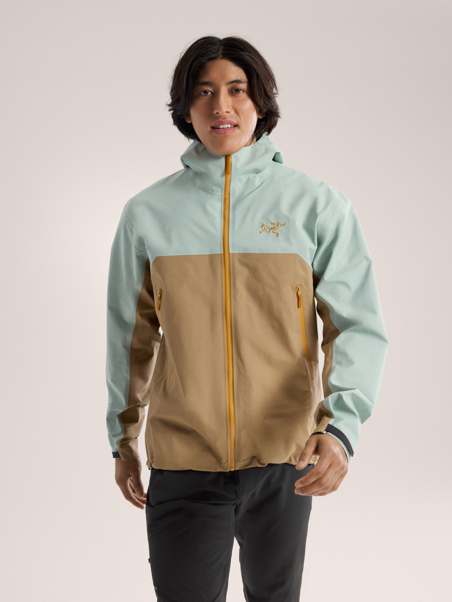 Arcteryx Beta Jacket Men's