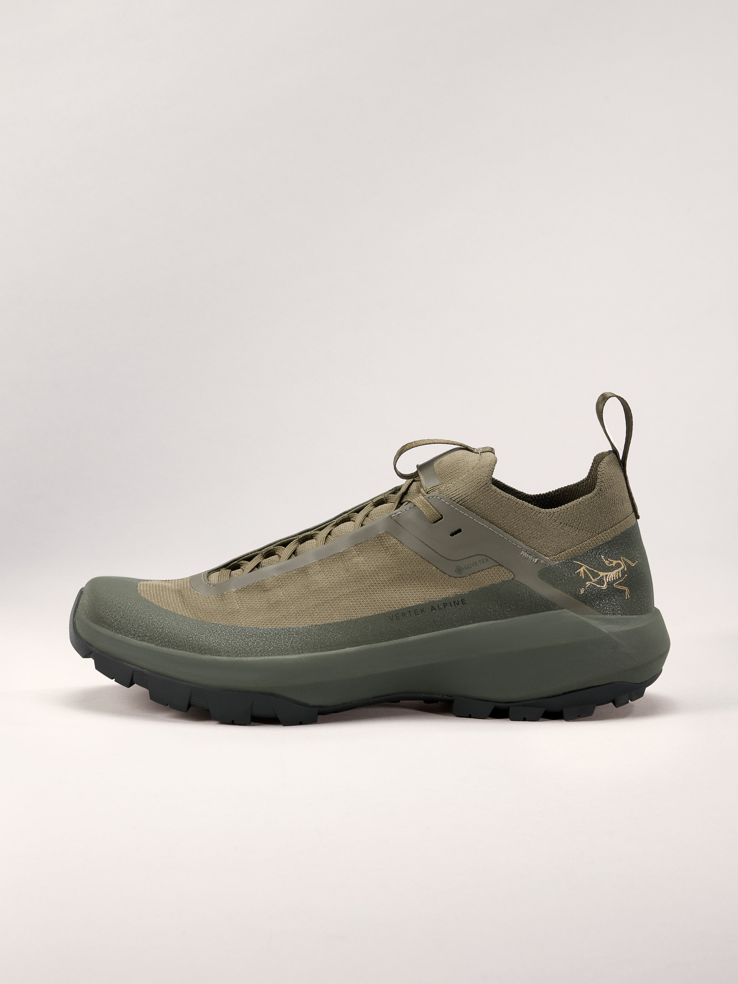 Arcteryx Vertex Alpine GTX Shoe Men's