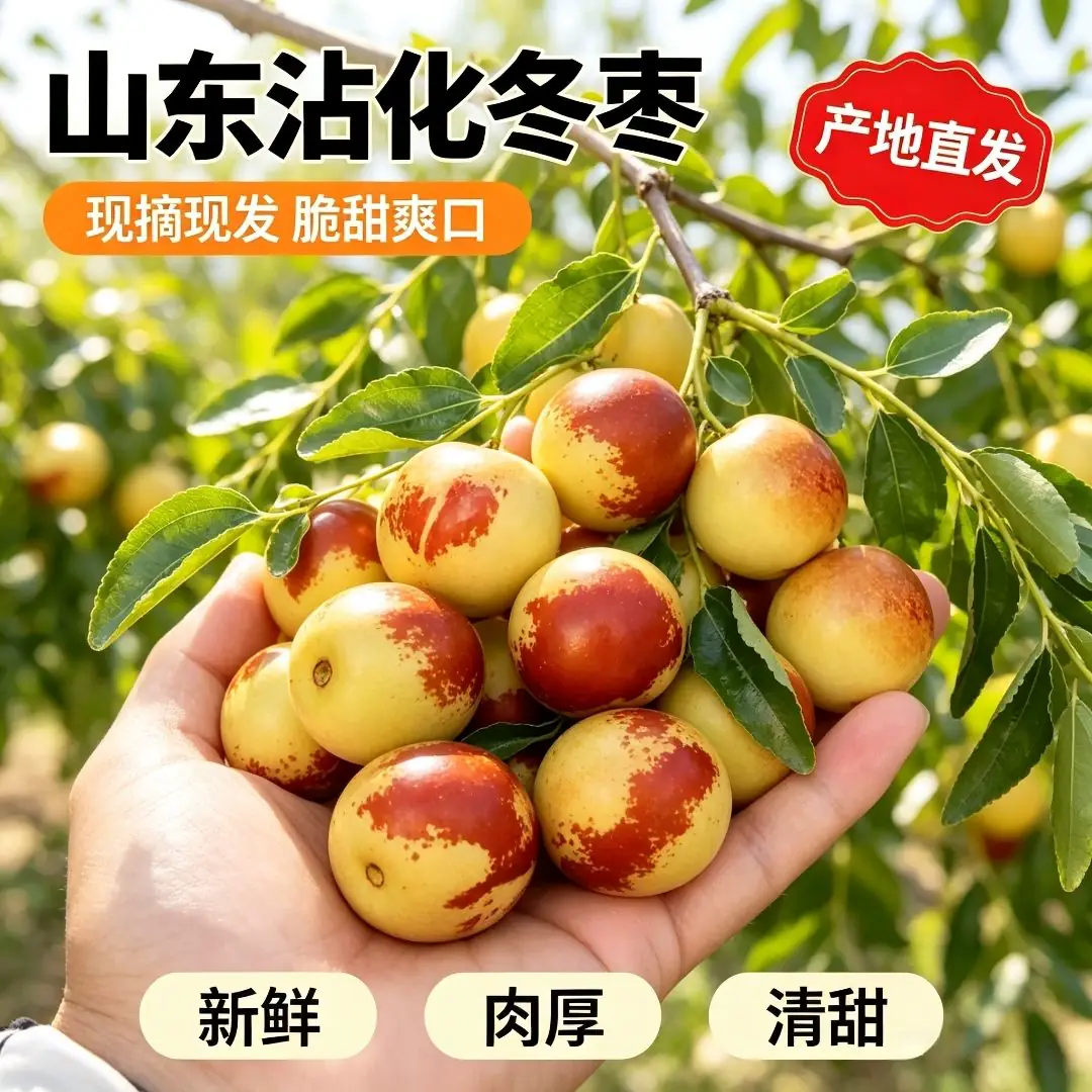 山东冰糖冬枣5斤