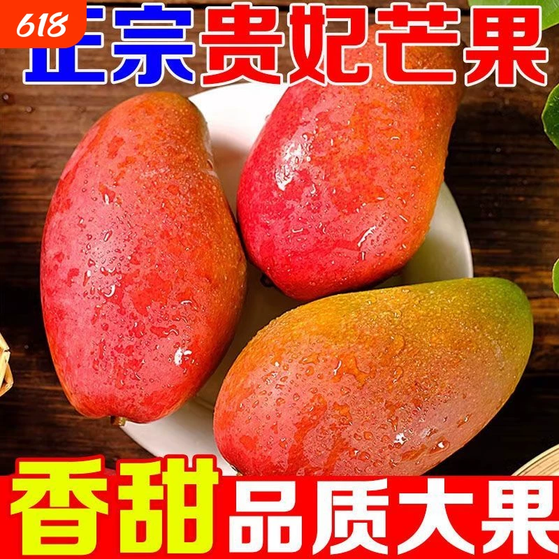下拉12.5！广西特产现摘贵妃芒4.5斤