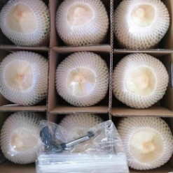 69.9元包邮！鲜宝道 海南去皮椰青9个大果1000g+ 椰汁