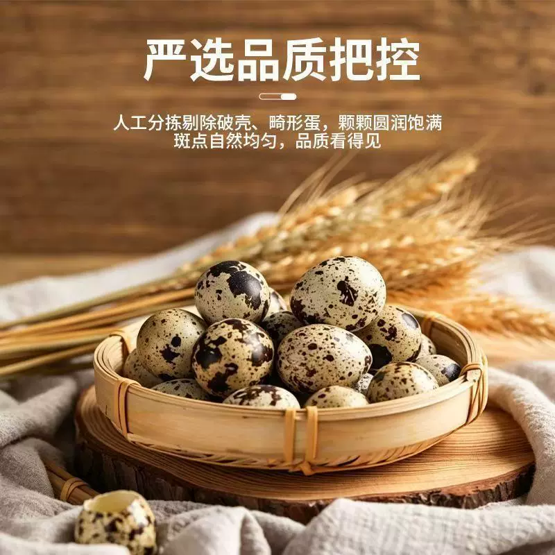 新鲜鹌鹑蛋生蛋绿色杂粮生鲜蛋孕妇宝宝辅食鹌鹑蛋鹑鸟蛋鲜鹌鹑蛋