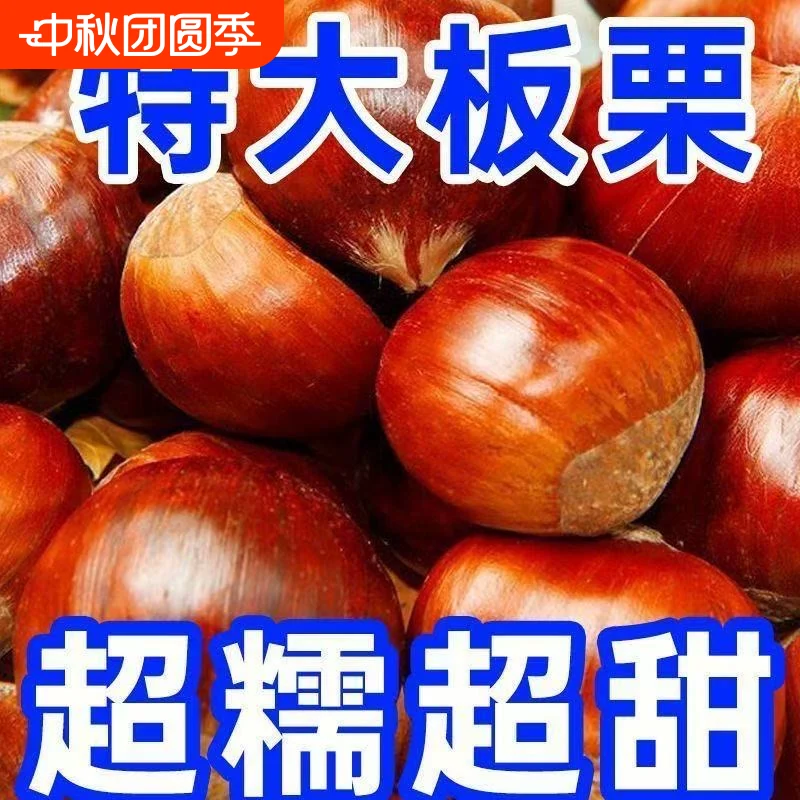 丹东板栗5斤
