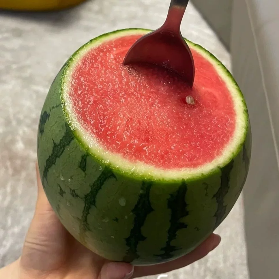 手撕冰糖小丸籽小西瓜西四季阳台可种小院香甜夏季早春红玉