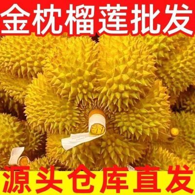 PDD热销产品汇总02点档更新2024/09/01