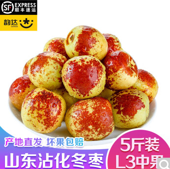 14.9元包邮！林果 山东沾化冬枣 净重5斤 中果