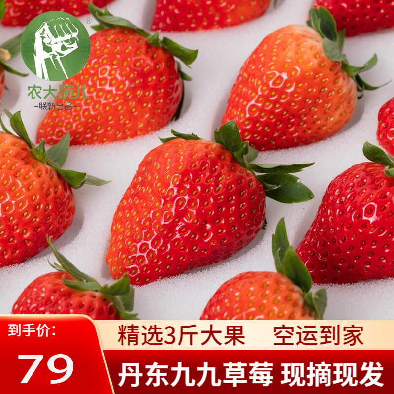 【旗舰店】丹东99草莓礼盒装送礼常备 3斤精选大果（净重2.8斤）