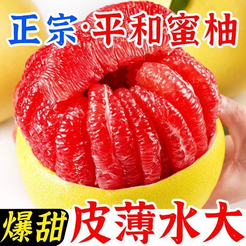 平和琯溪红心蜜柚5~6斤