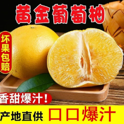 15.9元包邮！果迎鲜 黄心葡萄柚  5斤装
