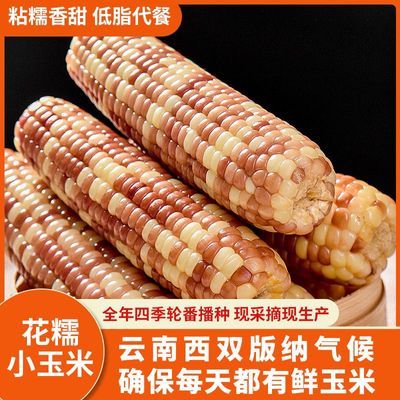 PDD热销产品汇总14点档更新2026/07/06