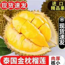 【补贴限量随时无】59.9元包邮！绿鲜森 泰国进口金枕头榴莲 2-3斤（包3房起）