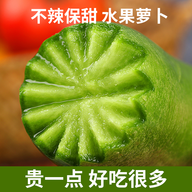 老帽家天津沙窝萝卜5斤（3-5枚）