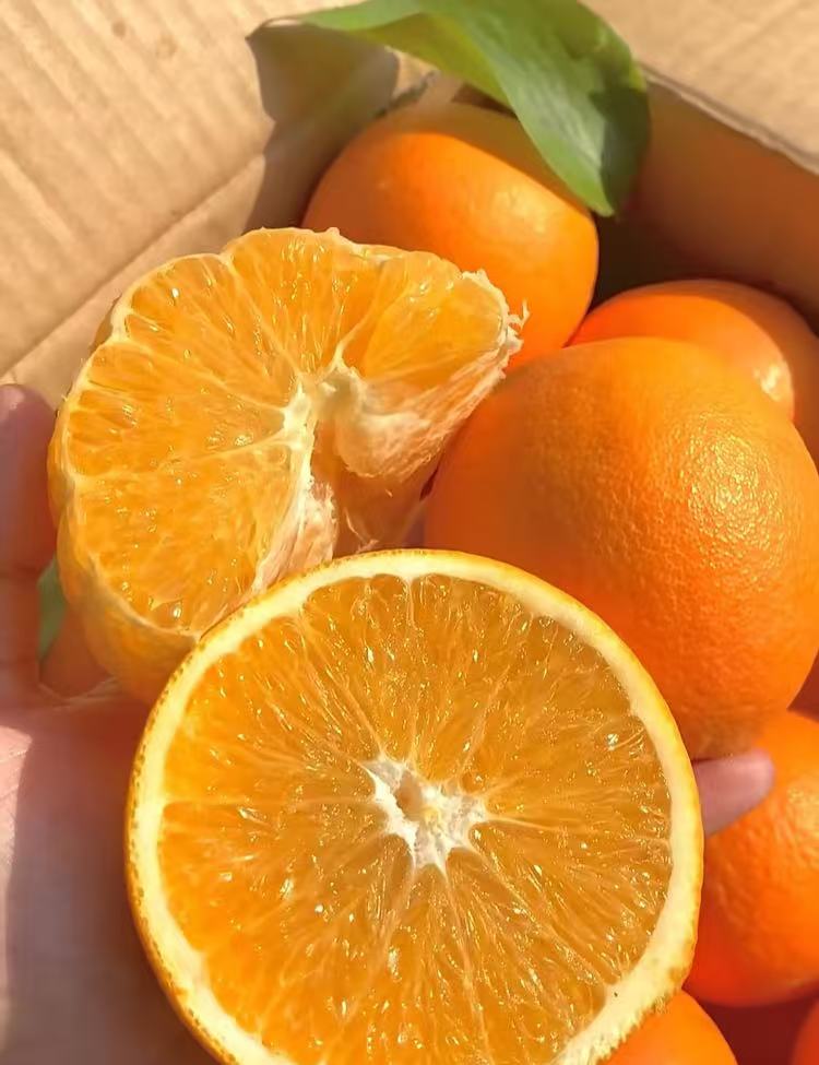 0_4