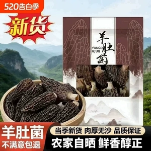 【果官宣】古田高山精选羊肚菌干货食材深山菌菇营养煲汤食材批发