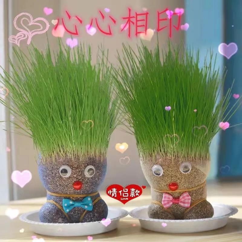 迷你卡通长草娃娃【2个装】+喷壶+树脂托盘