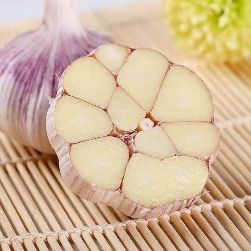 【批发】河南紫白皮大蒜头5斤