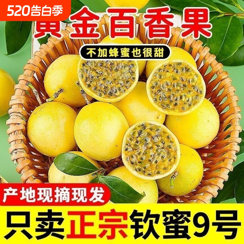 下拉13！广西钦蜜9号黄金百香果3斤