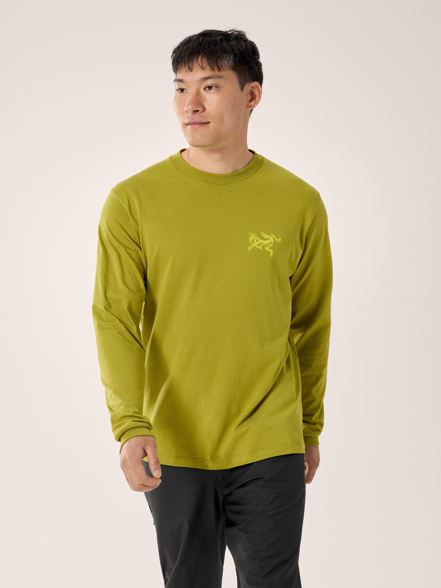 Arcteryx Kragg SL Cotton Bird Tile Shirt LS 始祖鸟男士长袖T恤