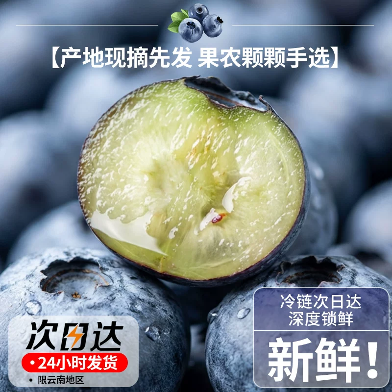 【京东空运】云南当季新鲜蓝莓4盒（中果）