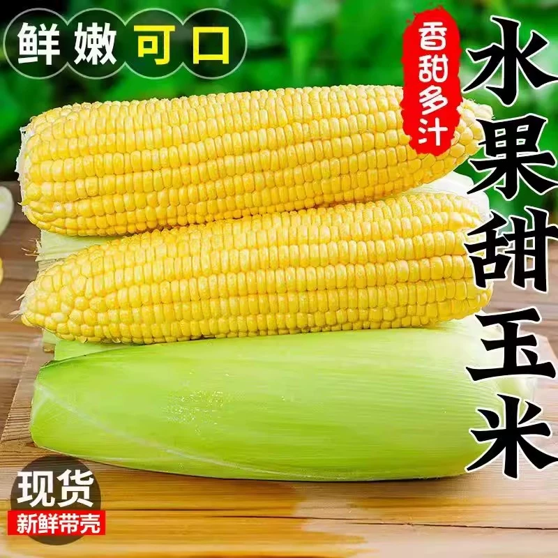 鲜嫩可口！云南新鲜水果玉米5斤