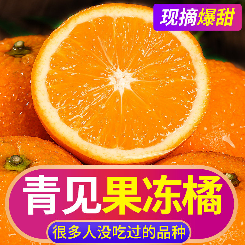 产地直坏发果包赔 青见果冻橙柑橘中果5斤