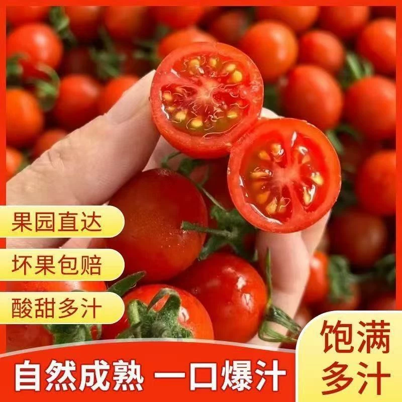 千禧小番茄 14.8 元