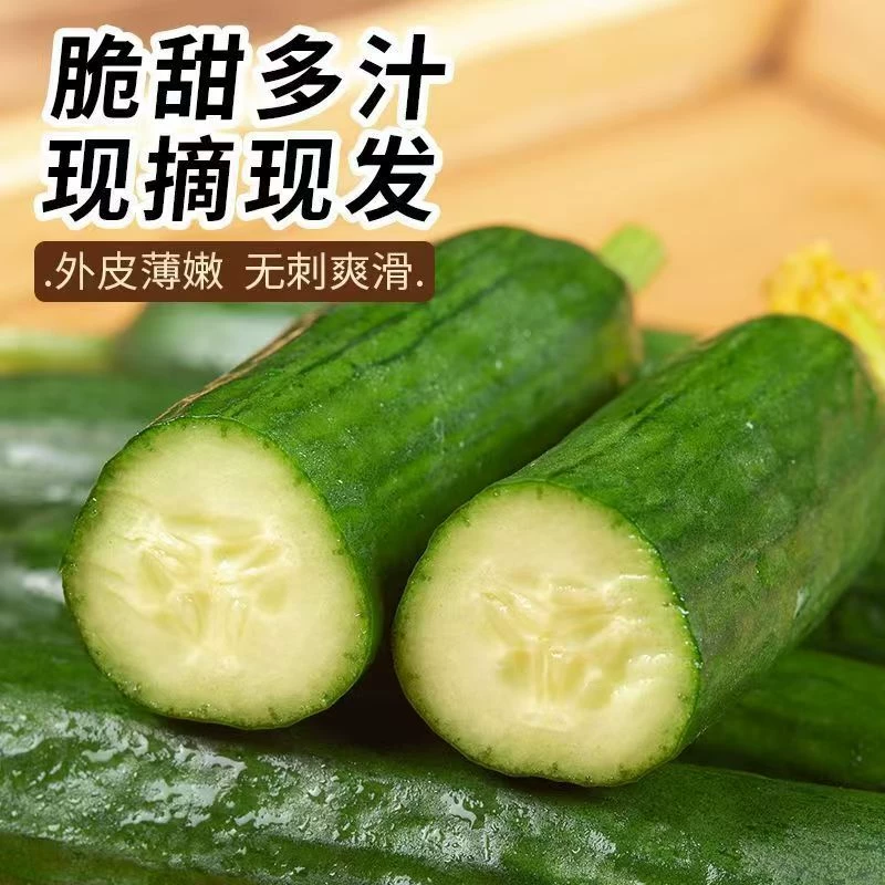 礼金+金币14.9！生吃水果小黄瓜5斤