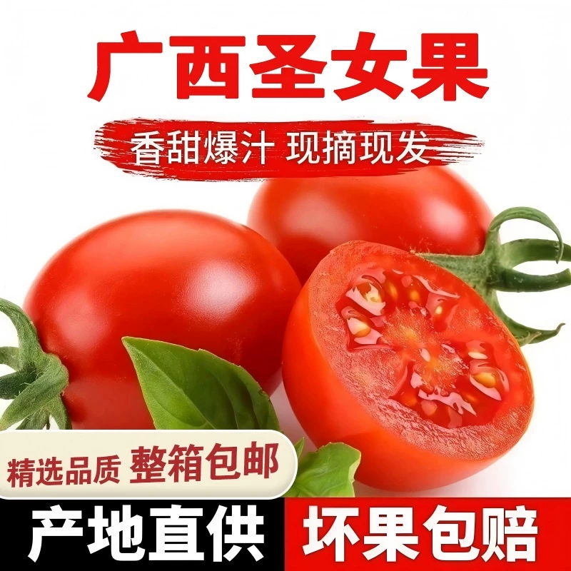 正宗广西千禧果圣女果优选5斤