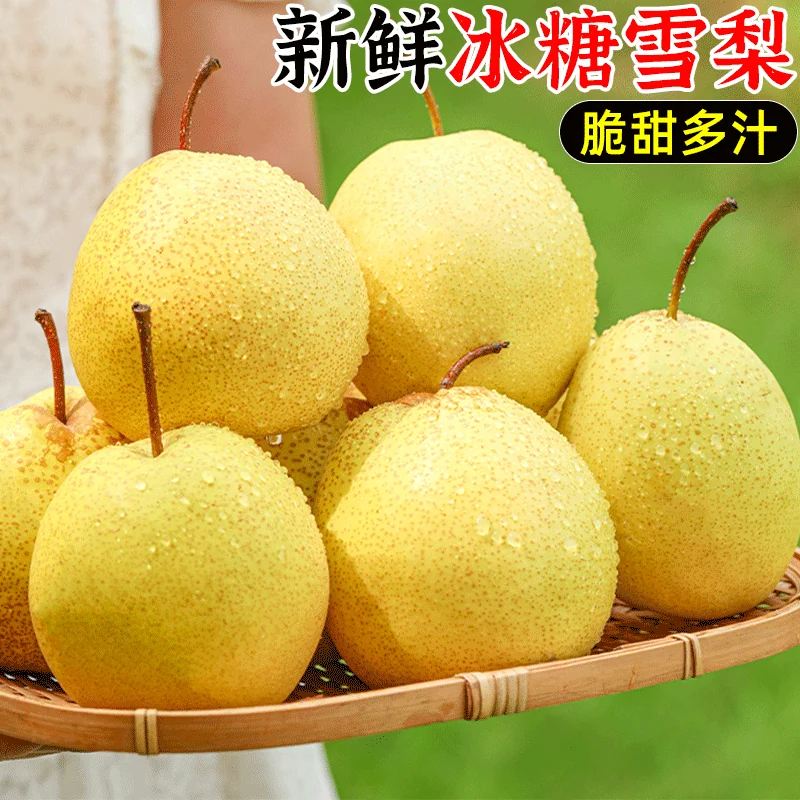 山西冰糖雪梨5斤