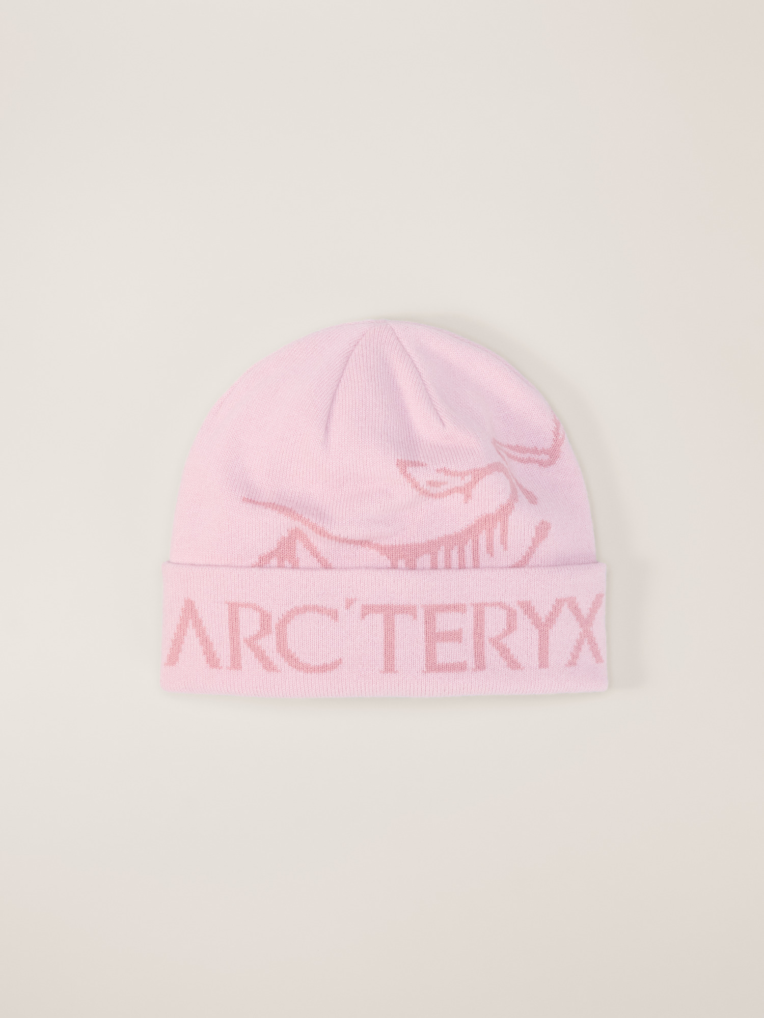 Arcteryx Bird Word Toque始祖鸟帽子