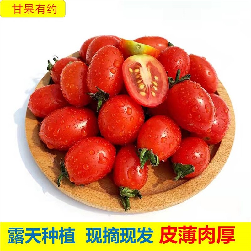 【已验货！好吃】甘果有约 新鲜千禧圣女果 5斤