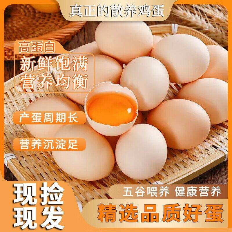 老农自养鲜鸡蛋特惠：40g-45g仅需2.5元/枚起