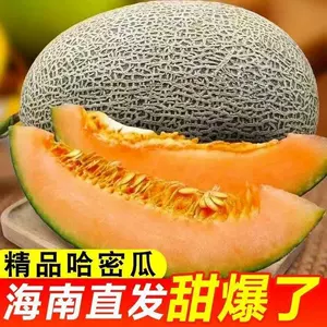 正宗海南哈密瓜吐鲁番西州蜜25号当应季新鲜水果网纹甜瓜整箱包邮