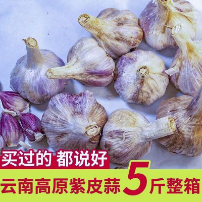 PDD热销产品汇总08点档更新2024/03/17