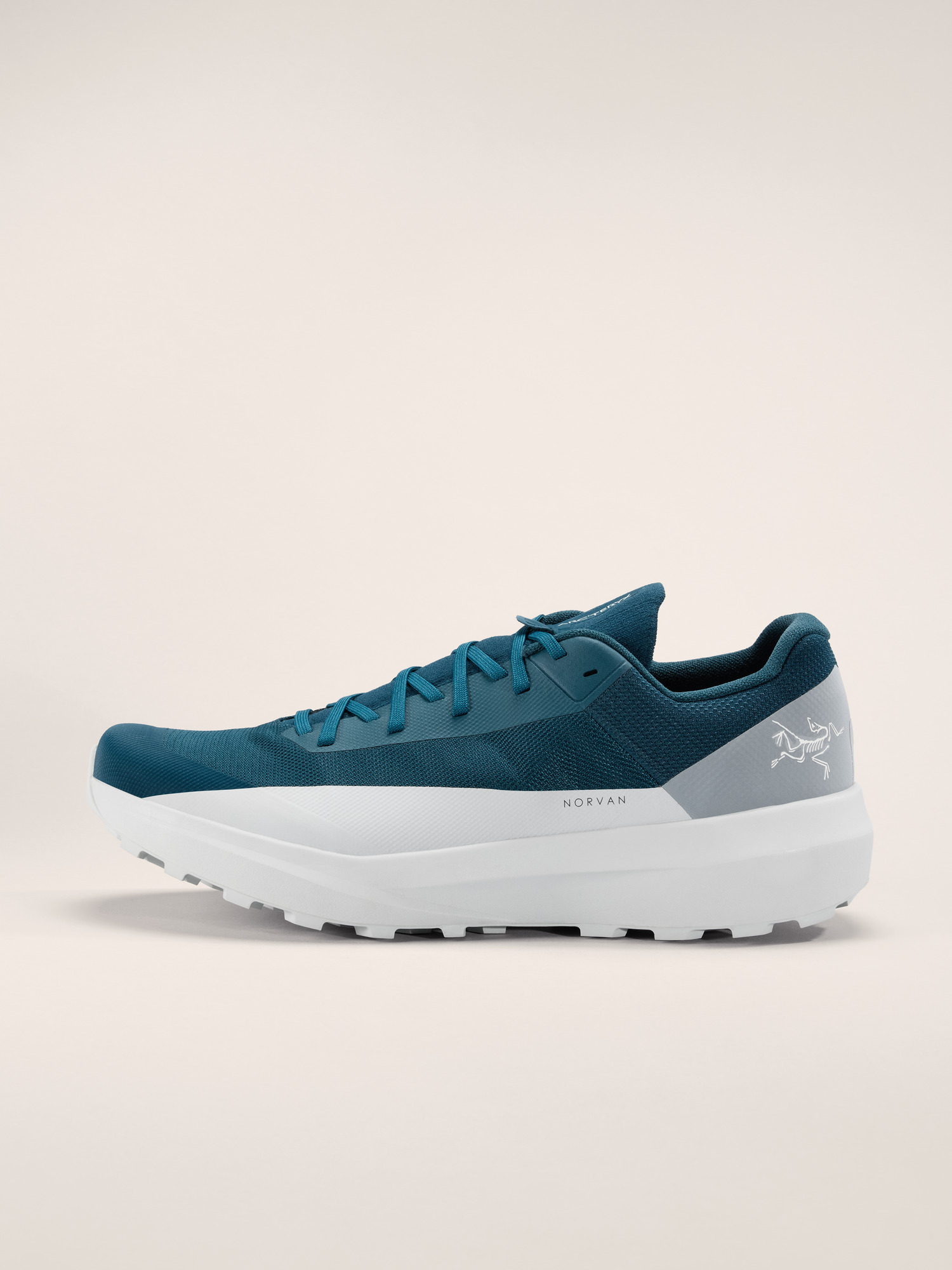 Arcteryx Norvan LD 4 Shoe Men's