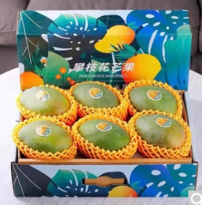 30元包邮！四川攀枝花凯特芒 9斤 果王 单果600g+