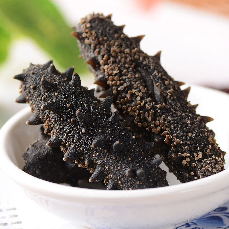 大连淡干海参干货8年50g